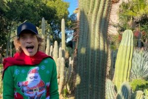 La rockstar Mick Jagger da mesi in Sicilia